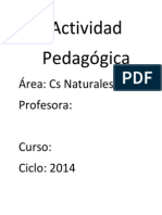 Actividad pedagogica