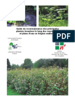 Guide Reconnaissance Des Principales Plantes Invasives Long Des Cours d'Eau