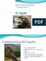 Disertación de Ciencias Naturales, El Aguila