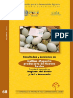 Gallina Mapuche Productora de Huevos Mapuches