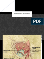 Angina de Ludwig