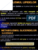 Curs Nr. 9 + 10 - Metabolism Lipide - Anabolism