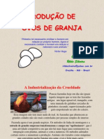 Ovos de Granja