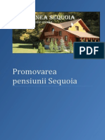 Promovare Pensiune