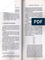 Nino, C. V.4. Pag 272-288 (Defectos Lógicos)