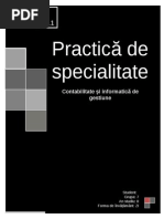Practica de Specialitate CIG