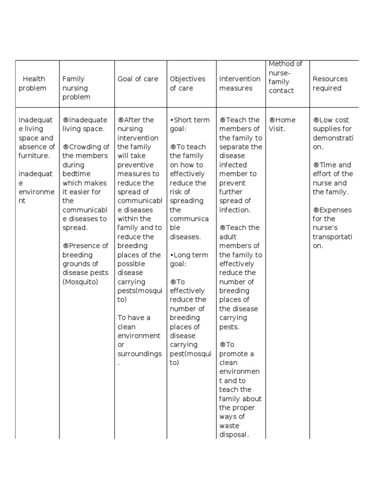 Family Nursing Care Plan FNCP Infection Public Health