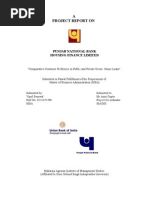 Download Project On Punjab National Bank by ViPul SN21555946 doc pdf