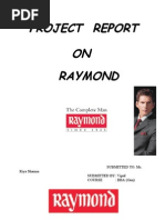 Download Project on Raymond by ViPul SN21556096 doc pdf