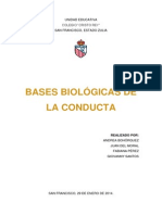 Psicología - Bases Biológicas