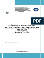 IICCA-PostGrado-Guia Trabajo Dirigido PDF