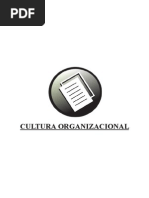 2 Cultura Organizacional