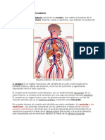 U2 PSM 15 Anatomia Del Aparato Circulatorio