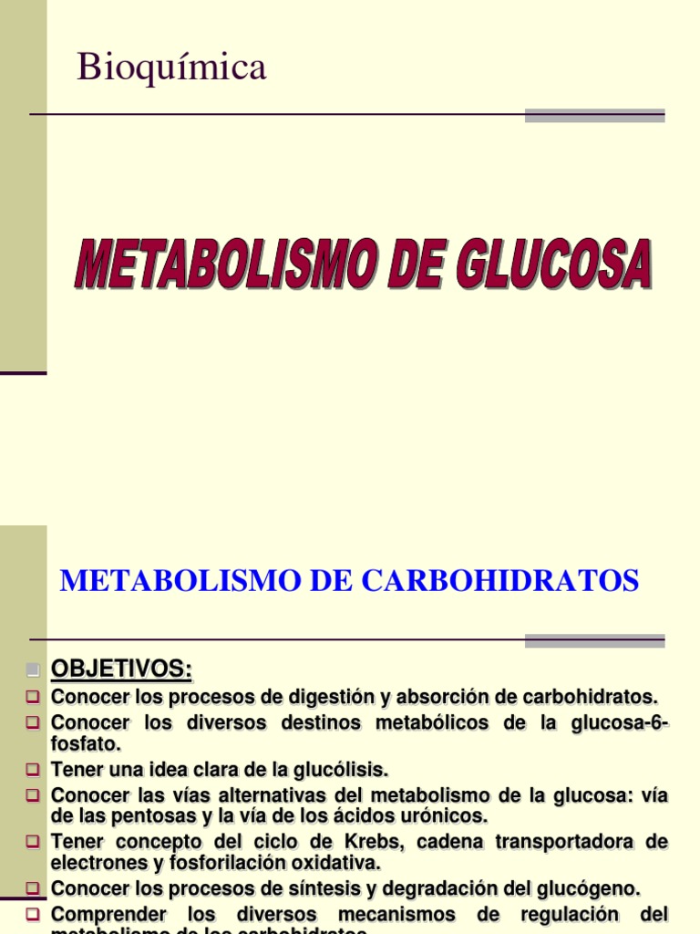 Aprender todo acerca de definicion metabolismo basal