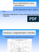 Tema 13 (Rocas Siliciclasticas) Conglomerados