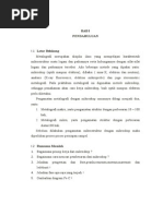 Download LAPORAN STRUKTUR MIKRO by Silfia Juliana SN215583611 doc pdf