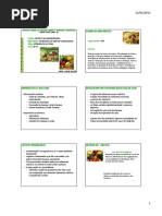 Frutas e Hortaliças [Aula Nº 01]