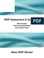 BGP Overview