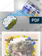 ciclo biogeoquimico (1) (1)