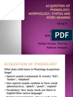 Acquisition of Phonology, Morphology, Syntax and