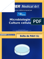 Microbiologie Culture Cellulaire