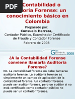 la contabilidad o auditoria forense