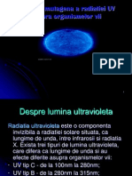 Www.referate.ro-efectele Radiatilor Asupra Organismelor Vii 93212