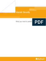 Bpis Understanding Security
