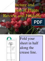 plant-review-foldable instructions and notes ppt