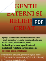 Agentii Externi Si Relieful Creat