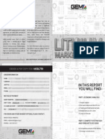 report litio.pdf