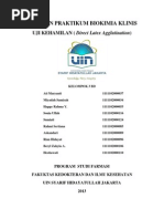 Download Praktikum Biokimia Klinis UJI KEHAMILAN by HappyRahmaYulin SN215686350 doc pdf