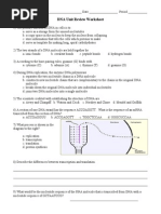 DNA Unit Review Worksheet