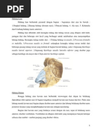 Download HIDUNG TERSUMBAT by Sitti Nurdiana Diauddin SN215716924 doc pdf