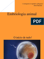 Embriologia: Etapas do Desenvolvimento Embrionário