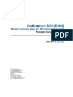 Sjzl20092882-NetNumen M31 (RAN) (V3[1].10.420) Maintenance Guide