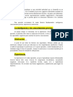 El Proceso de Aprendizaje Es Una Actividad Individual Que Se Desarrolla en Un Contexto Social y Cultural