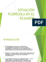 Sit Flor Ecuador
