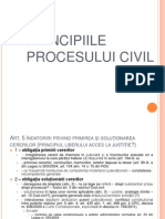 Slide 2 - Principiile Procesului Civil