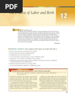Download Maternal Nursing Care- Chpt 12 the Process of Labor and Birth by thubtendrolma SN215756381 doc pdf