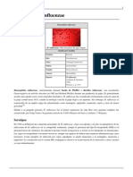 Haemophilus Influenzae PDF