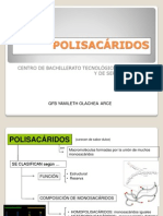 POLISACARIDOS