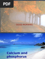 Download CALCIUM PPT by sari_siri9117 SN21581713 doc pdf