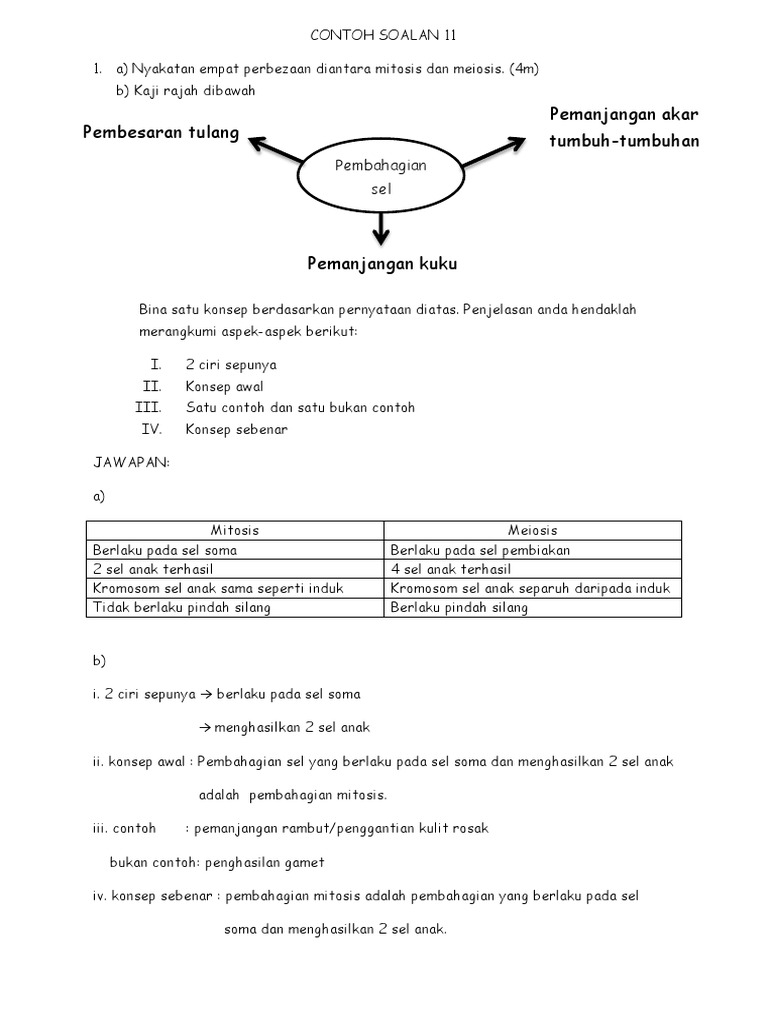 Contoh Soalan 11 Pdf