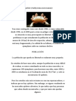 Ajolote Mexicano en Peligro de Extinción PDF