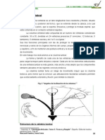 4-Cap 2 Columna Vertebral