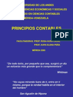 Origen de Los PCGA