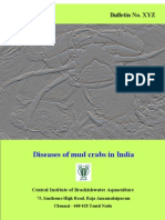 Download Diseases of mud crab in India  by Dr KPJithendran SN21584436 doc pdf