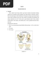 Download Fraktur Pelvis by Destiana Lisnawati Husen SN215852114 doc pdf