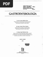 Download Gastroenterologia de Villalobos by Dianiiz Gutierrez SN215854895 doc pdf